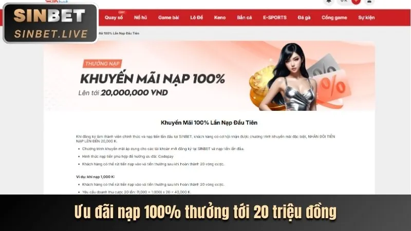 Hoàn trả hàng ngày tại 89bet1 cho các sảnh cược